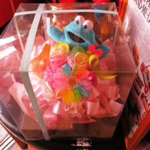 av[g NbL[X^[@ʂ݁@vU[uht[@t[Mtg@NA[P[Xt