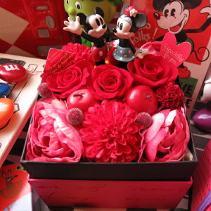 vU[uht[ av[g ޏ l fBYj[ԑ Mtg JăTvCY ~bL[ ~j[ t[{bNX m[} ~bL[ ~j[