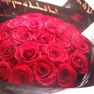 ԃo vU[uht[ ԑ ԃo20{gp ͂ꂸɂ܂łLCȐԃo av[gEljELȎ蕨ɂ߂̃t[Mtg