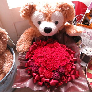 v|[Y _btB[ ԑMtg ʂ 70cm 傫ȃ_btB[Ԃ NA[P[Xt TvCY@Ղ vU[uht[Mtg