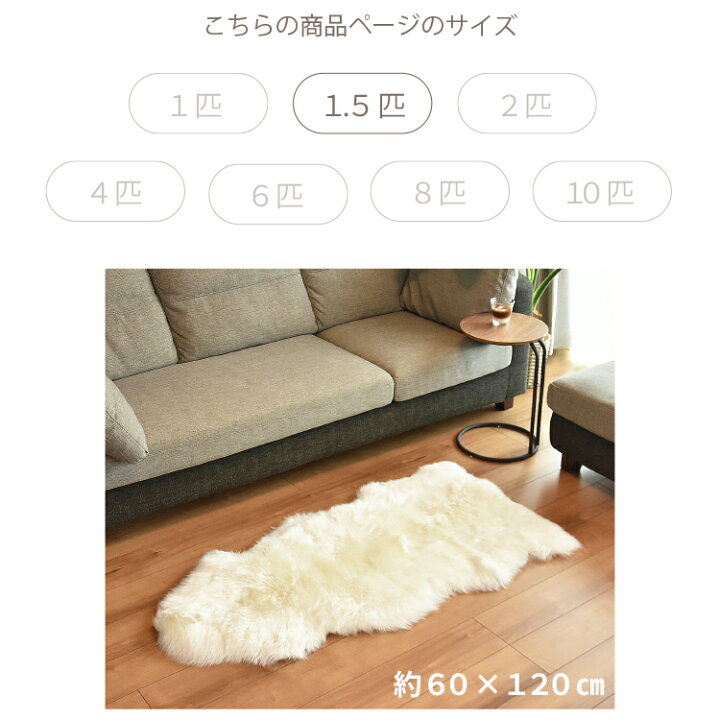 楽天市場】【レビュー特典付 お手入れブラシ】《丸洗いOK》洗える 