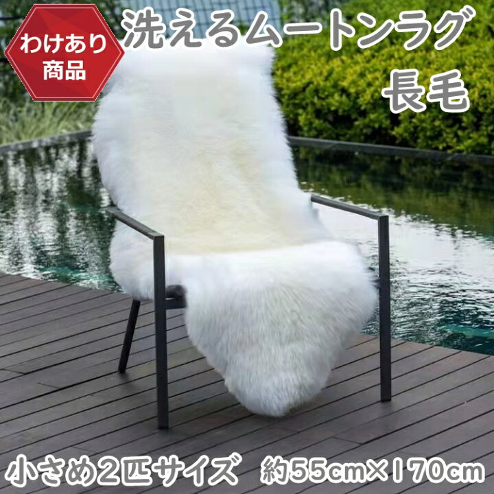 楽天市場】【わけあり価格】洗えるスプリングラム 2匹サイズ 長毛 送料 