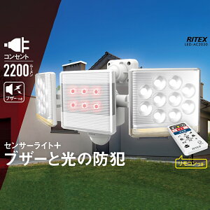 t[A[LEDZT[Cg Rt lZT[Cg 2200[ uU[t h hJ 铔 ԐF O hƃCg 12W×2 LED-AC2030 RZg AC  K[W Ɩ LED X