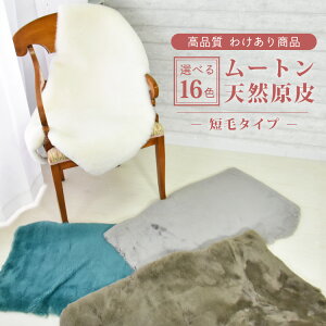 yAEgbg̔!z[gO XvO  [g  GAR΍ I[XgAY J[ybg O AEghA Lv ~ Z O є }bg \t