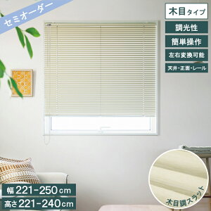 yr[Tt N[i[z ؖڒ A~uCh g[\[ TOSO uCh J[e[t ʒu ؖڃXbgS10F lW~ߎ OK 250cm×240cm ȃGl k