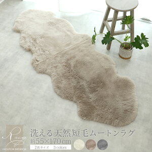 yr[Tt uVz􂦂郀[gO 2C Z 55×170cm ~ NbV є [g O }bg \t@[ j[W[h 􂦂 ƒ EHbVu L