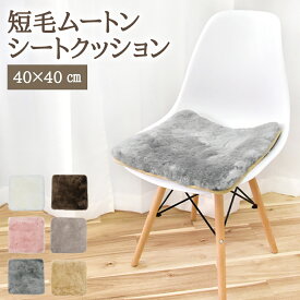 ムートンシートクッション 短毛タイプ 40×40cm (大判サイズ) 毛皮 ムートンクッション ムートン クッション 座布団 ソファー 暖かい 短毛 シートクッション 冷え性対策 夏でもさらさら エアコン対策 おしゃれ 韓国インテリア 北欧 かわいい