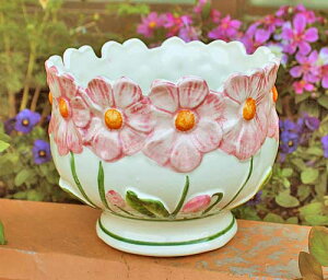 C^A AG v^[ Jo[ sN ԕ rOX^WI A t[|bg 20cm nhCh obT[m 25821R