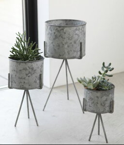 AG Eh X^h|bg 3_Zbg t[|bg v^[ RxgK[f CoventGarden ACA uL Vr[ BZ-03