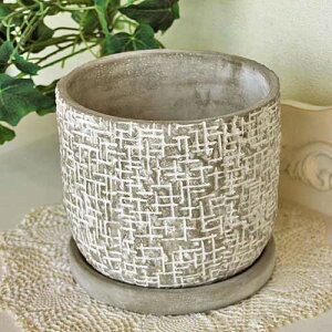 AG vh V_[|bg M v^[ t[|bg RxgK[f CoventGarden Aؔ i` AeB[N QO-02