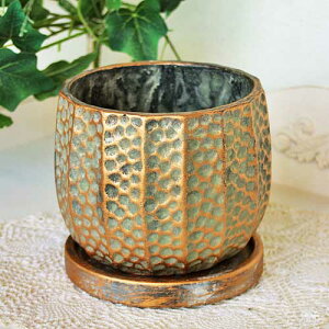 AG l Eh|bg L v^[ t[|bg RxgK[f CoventGarden Aؔ i` AeB[N QO-05