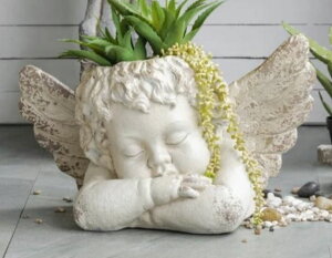 AG v^[ Vg GWF Jo[ rOX^WI A C^A AeB[N Vr[VbN 85228PL 