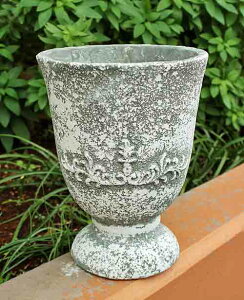 AG Zi uVF|bg L v^[ t[|bg RxgK[f CoventGarden i` AeB[N QW-53