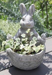 AG rbgNX|bg ETM t[|bg RxgK[f CoventGarden v^[ Vr[VbN i` PR-04