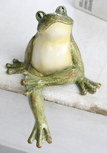 AG N[tbO x| RxgK[f CoventGarden JG ^ u IuWF t` Vr[ AeB[N TW-12