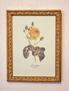 C^A AG zG o CG[ A[gt[ rOX^WI A hD[e[Y AeB[N Vr[ 908323