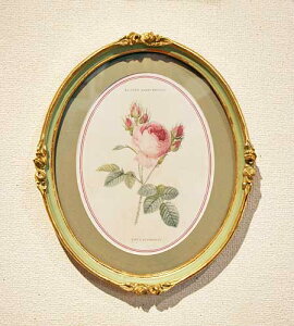 輸入雑貨 額絵 アートフレーム 楕円 ロココ ローズ柄 リビングスタジオ 直輸入 ルドゥーテローズ エレガント イタリア 壁飾り 姫系 77090PI