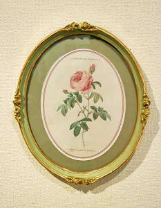 輸入雑貨 額絵 アートフレーム 楕円 ロココ ローズ柄 リビングスタジオ 直輸入 ルドゥーテローズ エレガント イタリア 壁飾り 姫系 77089PI