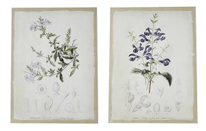 AG Ǐ LoX ԕ rOX^WI A NVbN Vr[VbN AeB[N i` Pn 85320WD 