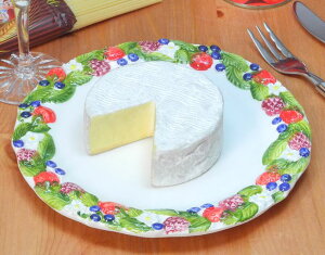 C^A AG pX^v[g fU[gM t[c rOX^WI A M ~` 22cm CfBbV BRE-1514-21BS