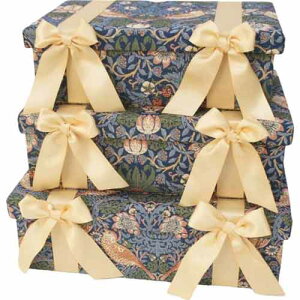 AG {bNX 3_Zbg  WFjt@[eC[ EBAX C`SD_ Jennifertaylor gN 33099BX Ώےn摗