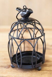 AG Liberte' xe Lhz_[ ACA K[fjO  rOX^WI A AeB[N Vr[ AS23167