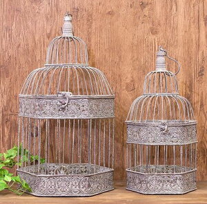 AG t[Xg o[hP[W  ACA O[ wLTS rOX^WI Vr[VbN 召Zbg NBC903HX-G