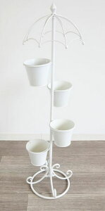 AƋ v^[ t[|bg zCg ACA Vr[VbN AeB[N NVbN t` K[fjO 1807IFH005