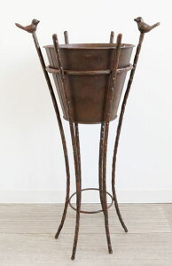 AG v^[ X^h ACA  Vr[ AeB[N [sA t` uE re[W K[fjO 1407IFH011