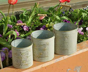 AG n[o oPc3_Zbg v^[ RxgK[f CoventGarden ACA uL Vr[VbN AeB[N OE-30