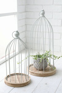 AG C[Ebh vcP[W2_Zbg v^[x[X RxgK[f Covent Garden ACA Vr[VbN PZ-20