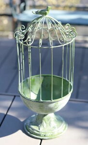 AG V[ vcP[W AW ACA RxgK[f coventgarden AeB[N K[fjO Vr[VbN XB-06