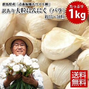 種 ニンニクの人気商品 通販 価格比較 価格 Com