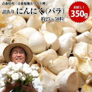 種 ニンニクの人気商品 通販 価格比較 価格 Com