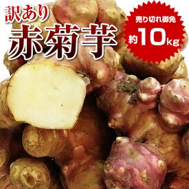 【新発売！期間限定p10倍】訳あり 赤菊芋 約10kg 送料無料 菊芋 令和5年度産 群馬県産 生菊芋 生赤菊芋 土付き イヌリン 菊芋チップス 菊芋パウダー きくいも 生きくいも 生キクイモ キクイモ きくいも 国産※送料：北海道・九州・離島+500円、沖縄+1000円