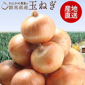 玉ねぎ 約3kg 大小混合 送料無料 たまねぎ 群馬県産 国産 訳あり ※送料：北海道・九州・離島+500円、沖縄+1000円