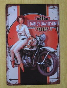 @n[[_rbh\ [^[TCN g[h}[N  ^TCv[g HARLEY-DAVIDSON n[[_Bbh\ Ŕ@uL@AeB[N@K[W@CeA
