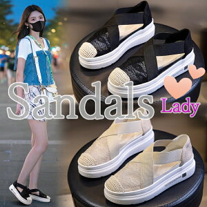 y}\z Xj[J[T_ fB[X T_ fB[X 22.5~24.5cm fB[X Y  T_ tBbgT_ r[`T_ D7