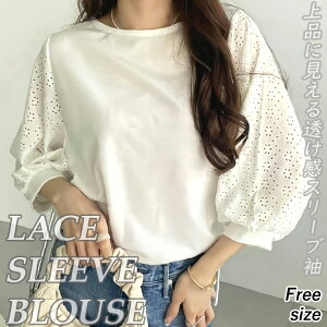 yX[p[Z[zfB[X p EBY gbvX Vc rWlX t Vv IV  