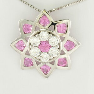 y10%OFFz_Ch lbNX y_g fB[X t[  sNTt@CA v`i pt900 NX}X