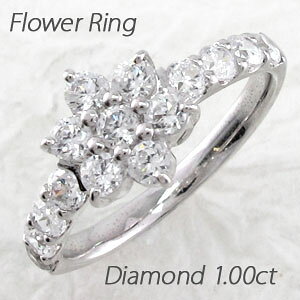 yP10{ 11/14 10:00`z_Ch O w  fB[X t[  ZuX^[ S[WX k10 10k 10 S[h 1.0Jbg ubNtCf[