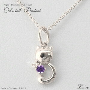 yP10{ 11/20 20:00`zv`i900 lR L _Ch Lbg AWXg lbNX y_g Pt900 SV`F[ a a v[g Mtg ubNtCf[