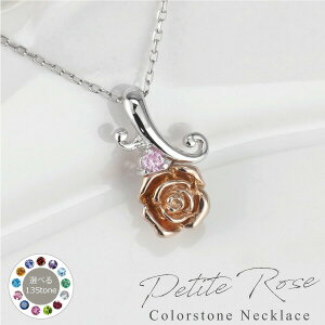 yP5{ 12/1zlbNX k10 o [Y J[Xg[ ꗱ y_g 10 zCg CG[ sNS[h Rr 10k a KN l   i GKg LO a 