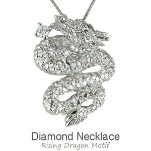 yP5{ 12/1zlbNX hS  _Ch Vo[925 y_g dragon  SV925 Vv jZbNX  bL[`[t  LO a 蕨 Mtg v[g 