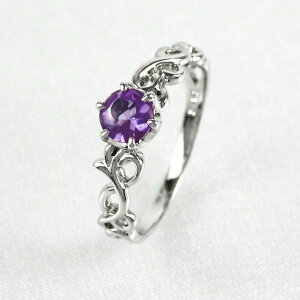 yP10{ 500~OFFN[|zAWXg O J[Xg[ ꗱ 嗱   w  a _Ch fB[X v`i900 Pt900 ubNtCf[