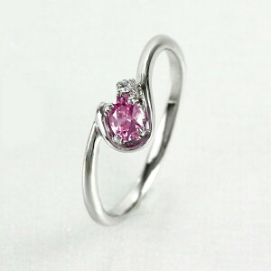 yP5{ 11/30zsNg} O J[Xg[ ꗱ I[o w  a _Ch fB[X v`i900 Pt900 ubNtCf[