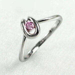 yP10{ 11/14 10:00`zsNg} O J[Xg[ ꗱ n z[XV[ w  a fB[X v`i900 Pt900 ubNtCf[