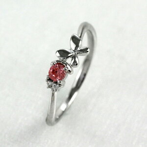 yP5{ 11/30zK[lbg O J[Xg[ ꗱ { _Ch w  a fB[X S[h k10 10k 10 ubNtCf[