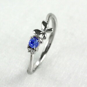 yP5{ 11/30zTt@CA O J[Xg[ ꗱ { _Ch w  a fB[X v`i900 Pt900 ubNtCf[