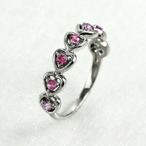 yP5{ 11/18zsNTt@CA O J[Xg[ n[g w  a fB[X v`i900 Pt900 ubNtCf[